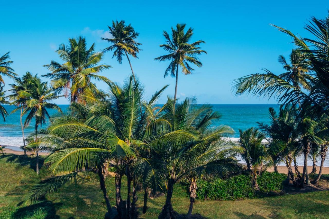 Resort Iberostar Waves Bahia
